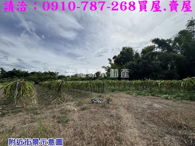 台南農地-8