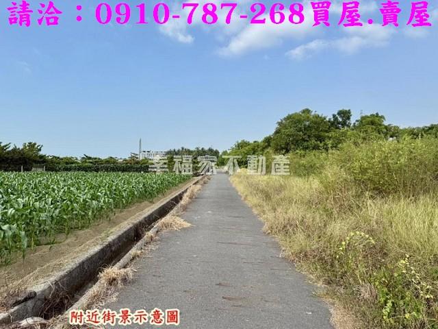 台南新市農地-2