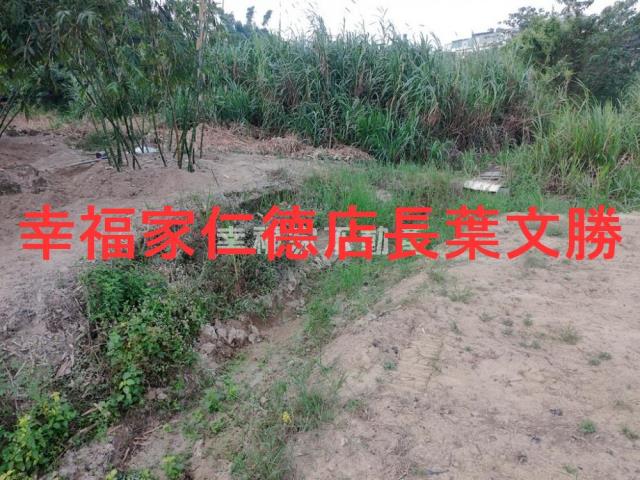 台南關廟農地-9