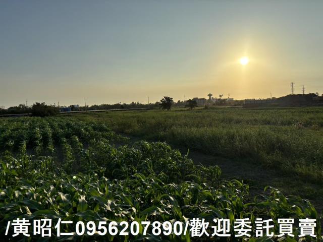 台南農地-5