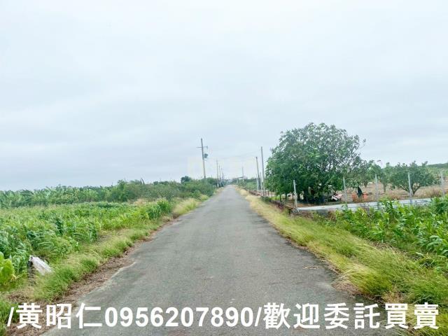 台南農地-2