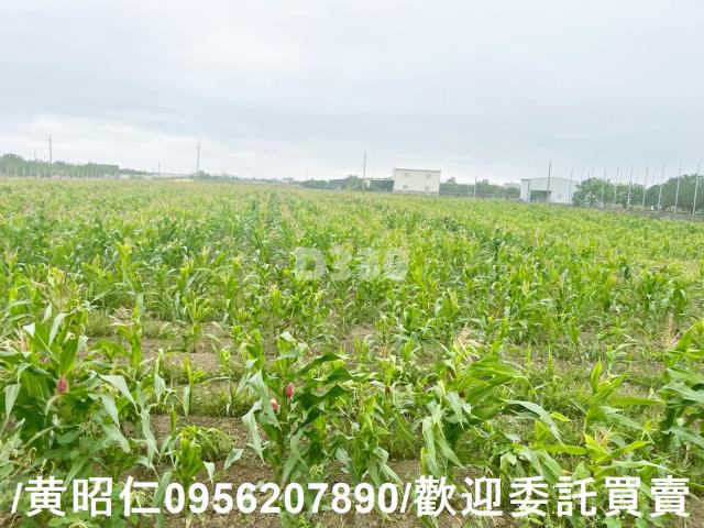台南農地-8