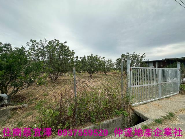 台南麻豆農地-2