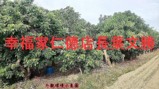 台南安定農地-9