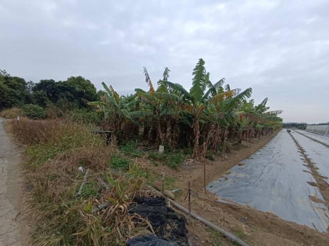 台南玉井農地-8