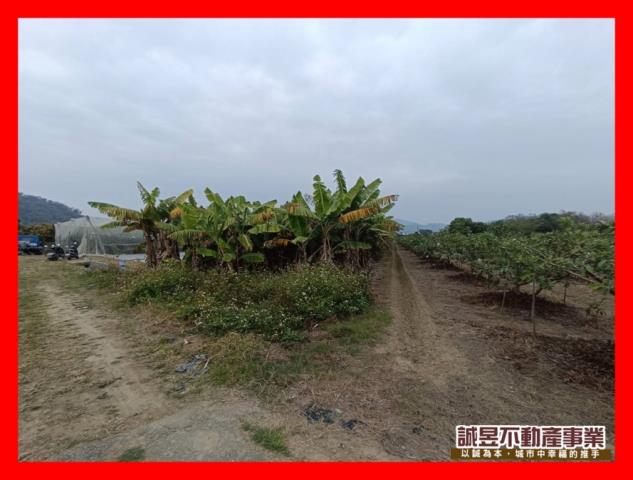 台南玉井農地-12