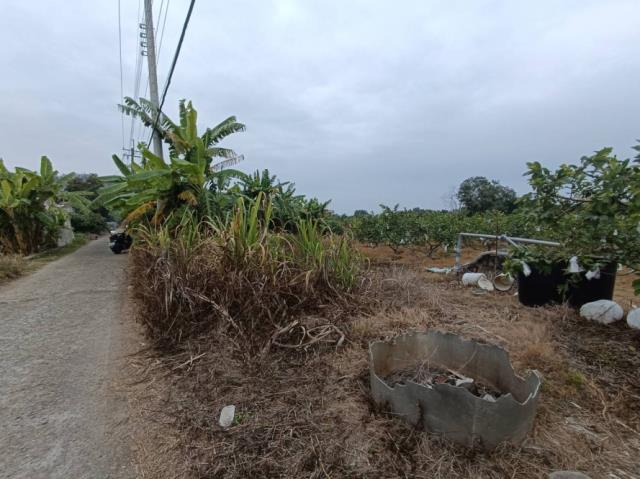 台南玉井農地-2