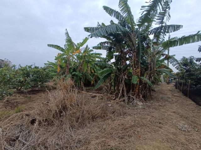 台南玉井農地-5