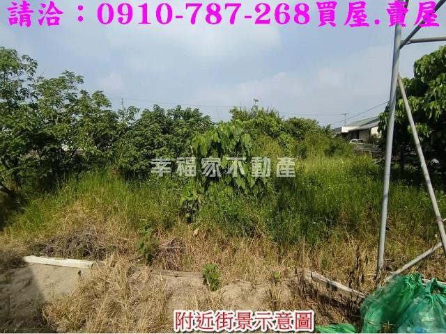 台南下營建地-6