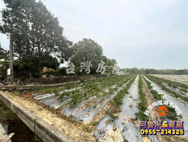 台南白河農地-3