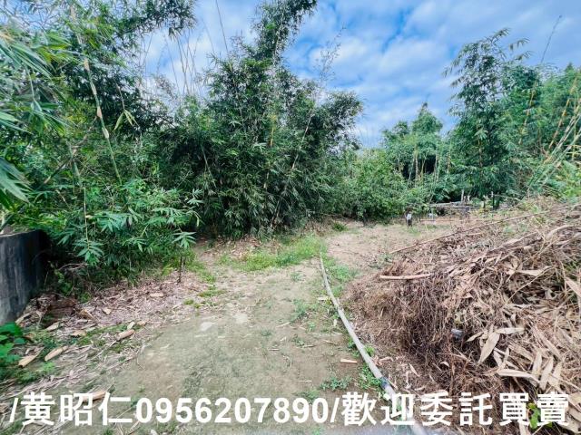 台南農地-12