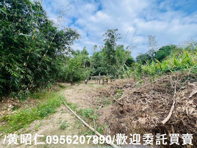 台南農地-7