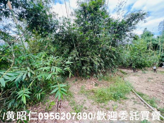 台南農地-8