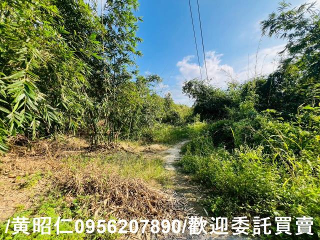 台南農地-7