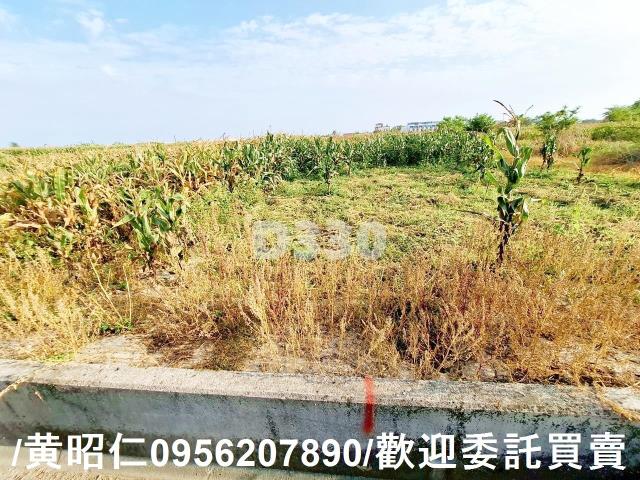 台南七股農地-3