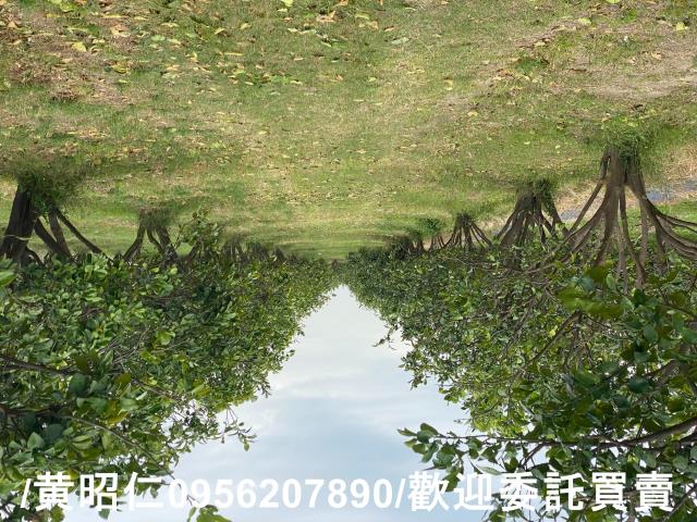 台南農地-0