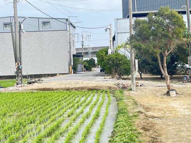 仁德農地-0