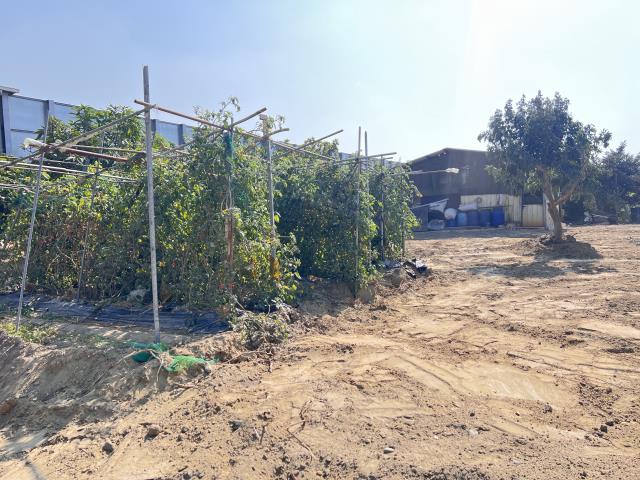 仁德農地-6