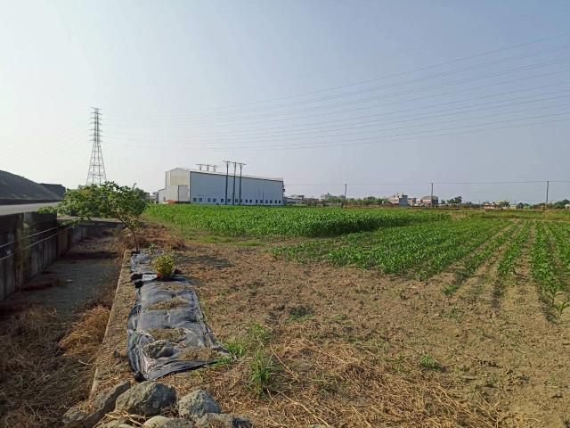 台南學甲農地-1