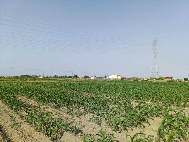 台南學甲農地-3