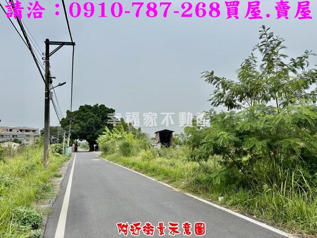 台南仁德農地-0