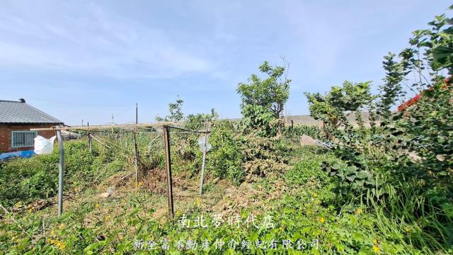 台南鹽水建地-8