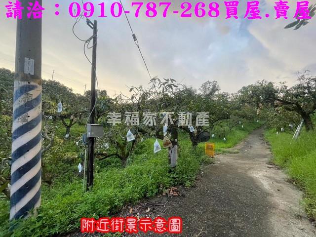 台南玉井農地-9