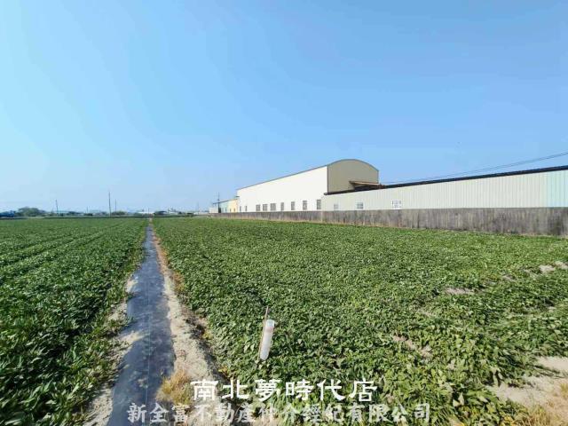 新市農地-0