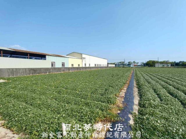 新市農地-3