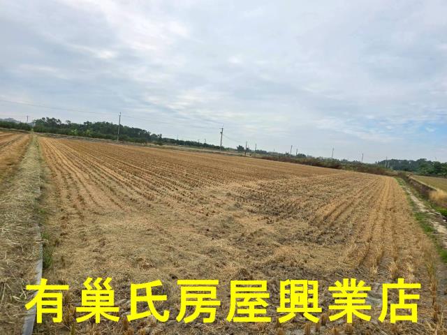 台南農地-2
