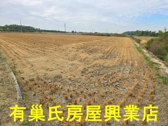 台南農地-3