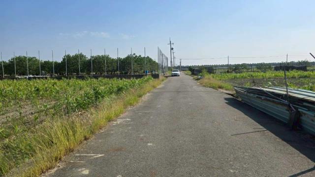 台南麻豆農地-4