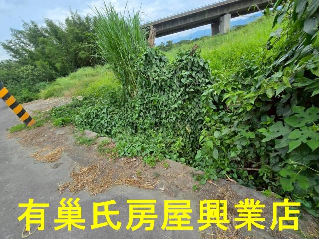 台南白河農地-5