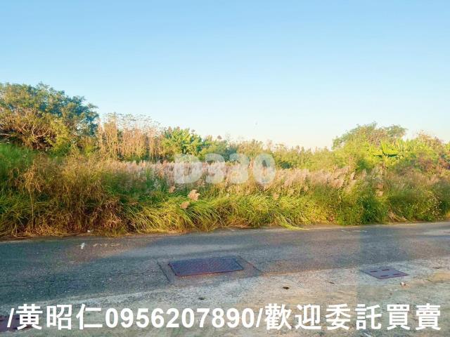 台南七股建地-0