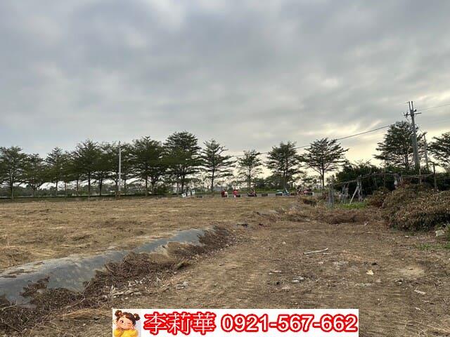 台南新化農地-5