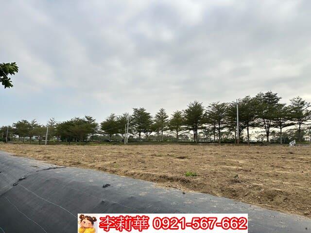 台南新化農地-7