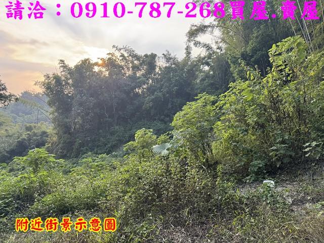 台南龍崎農地-4