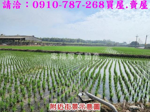 台南農地-5