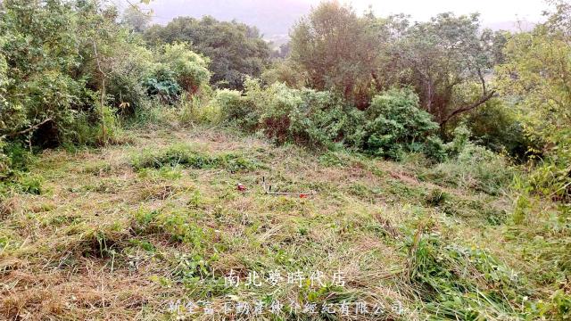 台南楠西農地-0