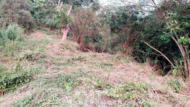 台南楠西農地-1