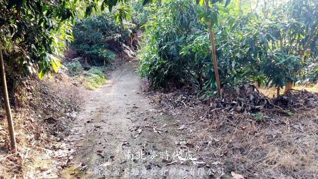 台南楠西農地-5