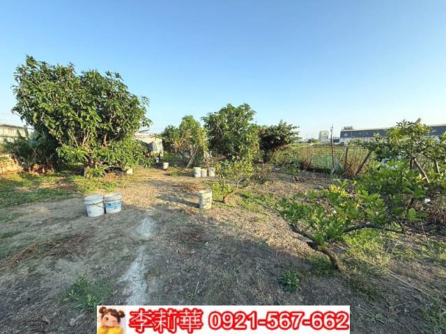 台南安定農地-9