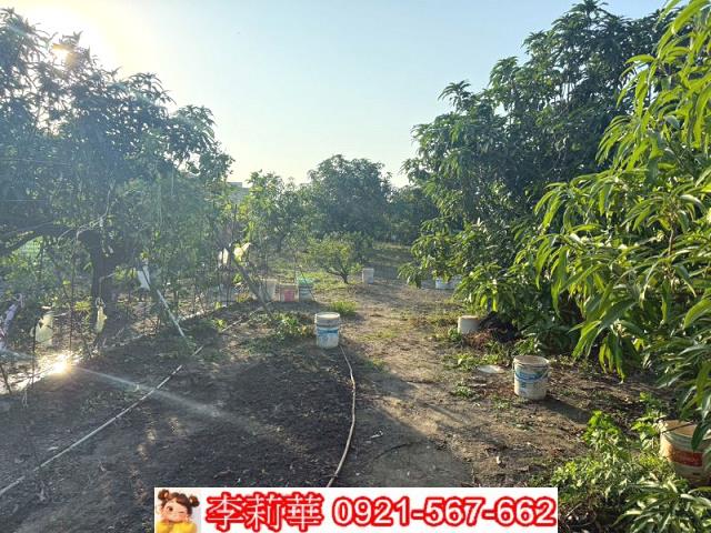 台南安定農地-7