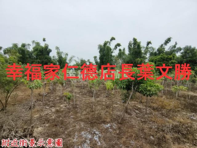 台南新市農地-6