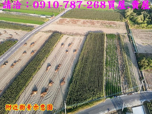 台南農地-9