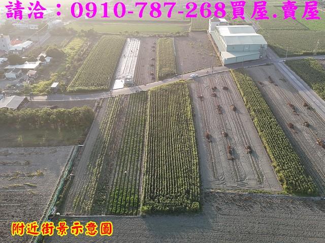台南農地-5