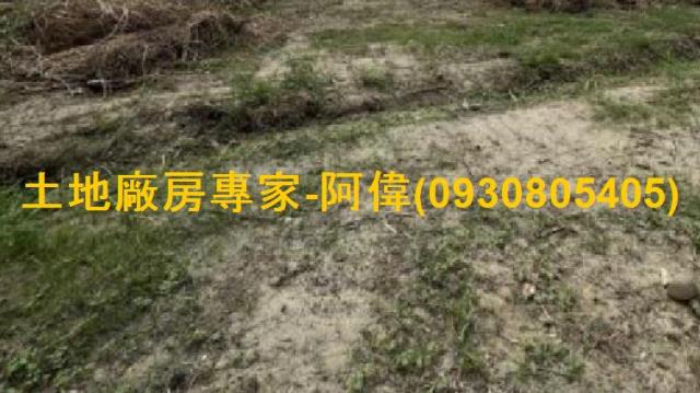 台南麻豆工業地-0