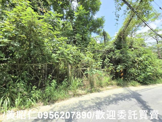 台南左鎮農地-8