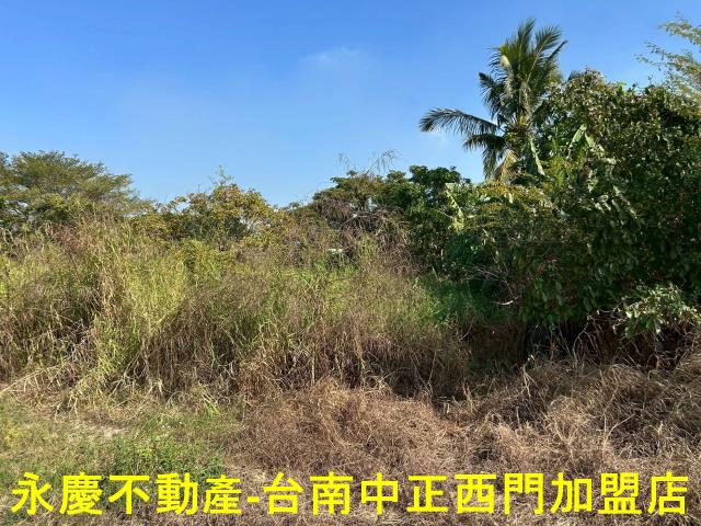 台南新化農地-11