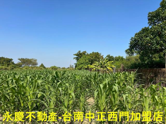 台南新化農地-4